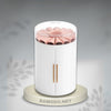 FLORET TREASURE 5-Tier Rotating Jewelry Organizer | RAMODO JEWELRY